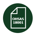 ГОСТ Р 54934-2012/OHSAS 18001:2007 